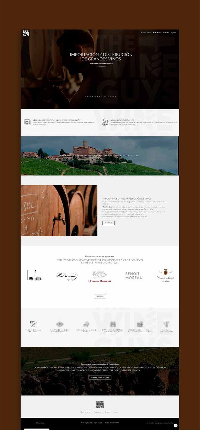 Diseño web The Wine Guys