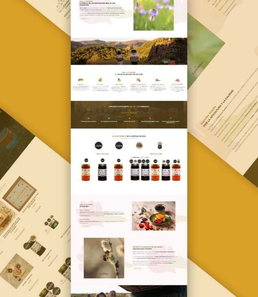 Diseño web Miel Cazurra Diseño web Miel Cazurra