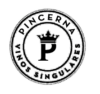 Logo PINCERNA