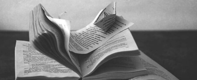 Dossier de empresa, todo lo que debes saber para que sea un éxito