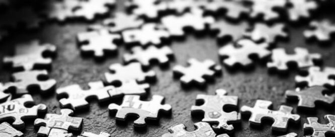 Modular DS: La herramienta definitiva para gestionar varias web WordPress