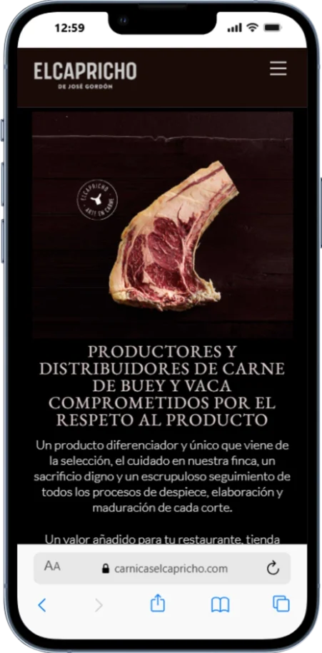 Mockup web El Capricho Mockup web El Capricho