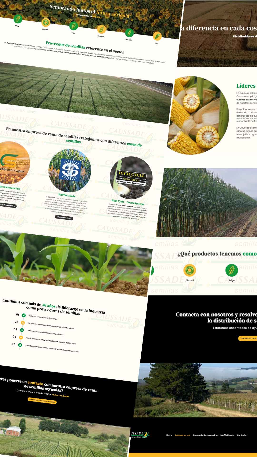 CaussadeSemillas_DiseñoWeb_Mockup