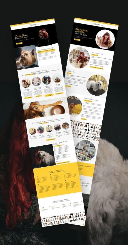 La Tía Sara · Diseño web