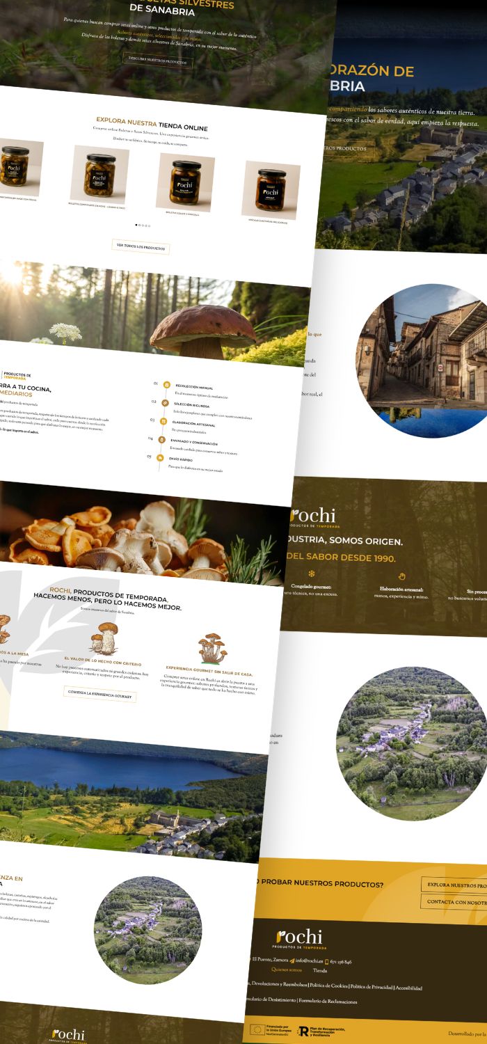 Rochi · Diseño de tienda online