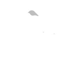 DELERIA-BLANCO-SINLEYENDA